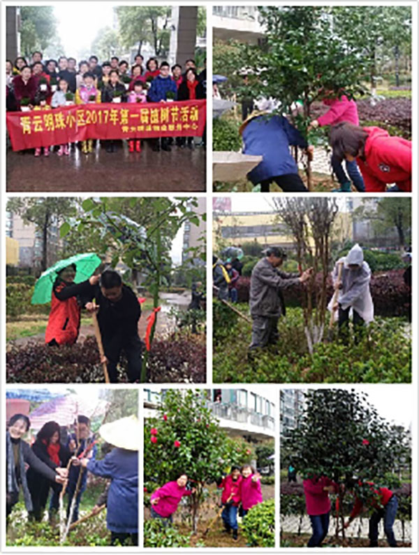 播一片綠林，種一份愛心